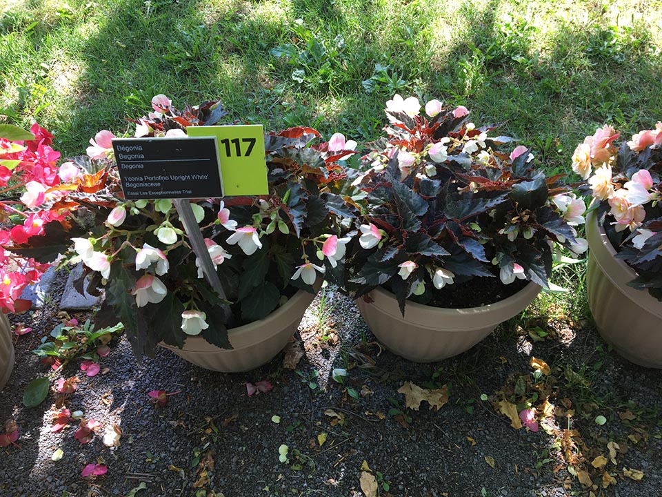 B. ‘Portofino Upright White’